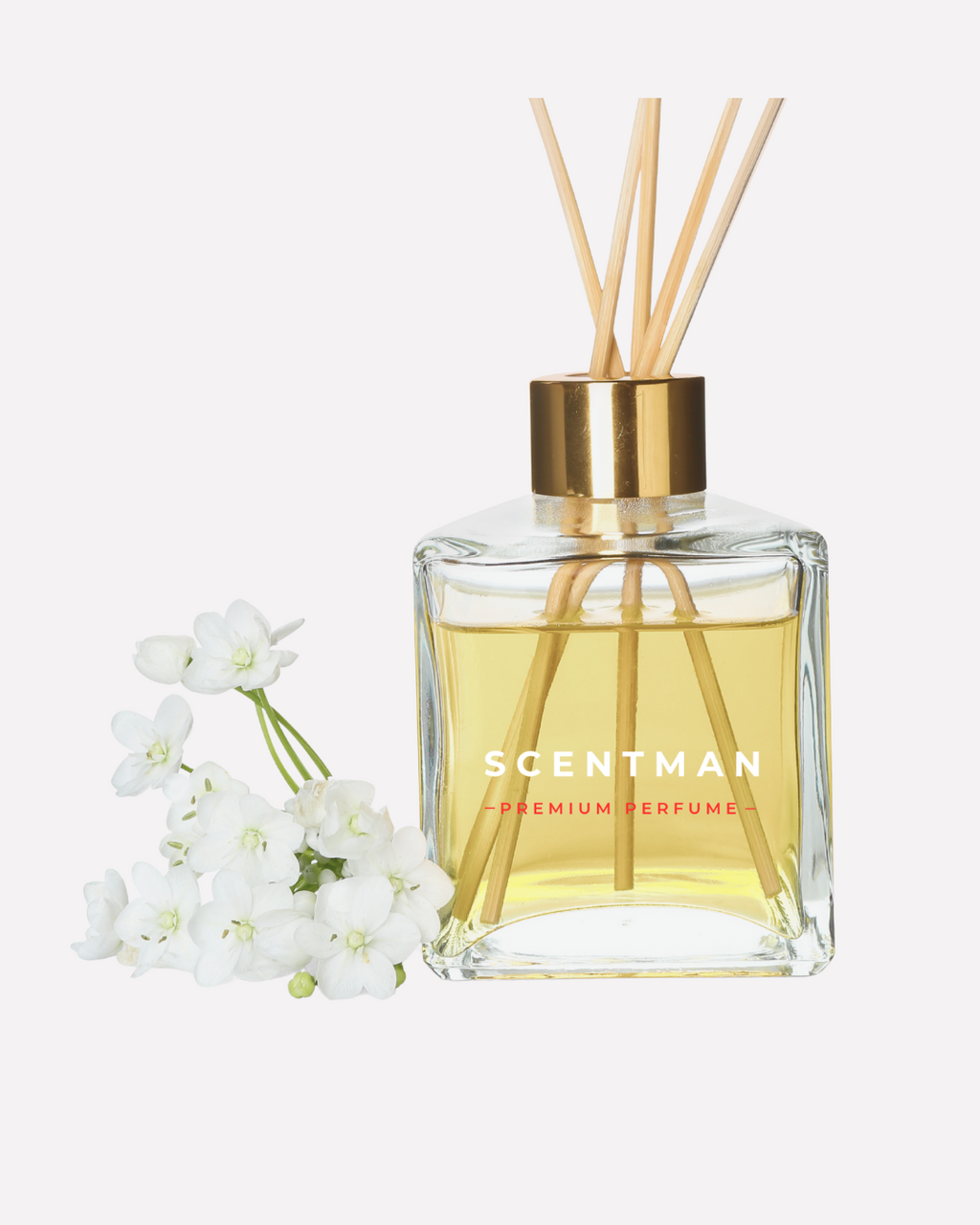 Home Diffuser Mixing Kit 1 - 200ml Bottles + 500ml Fragrance Oil + 1500ml Base + Mixing Guide booklet