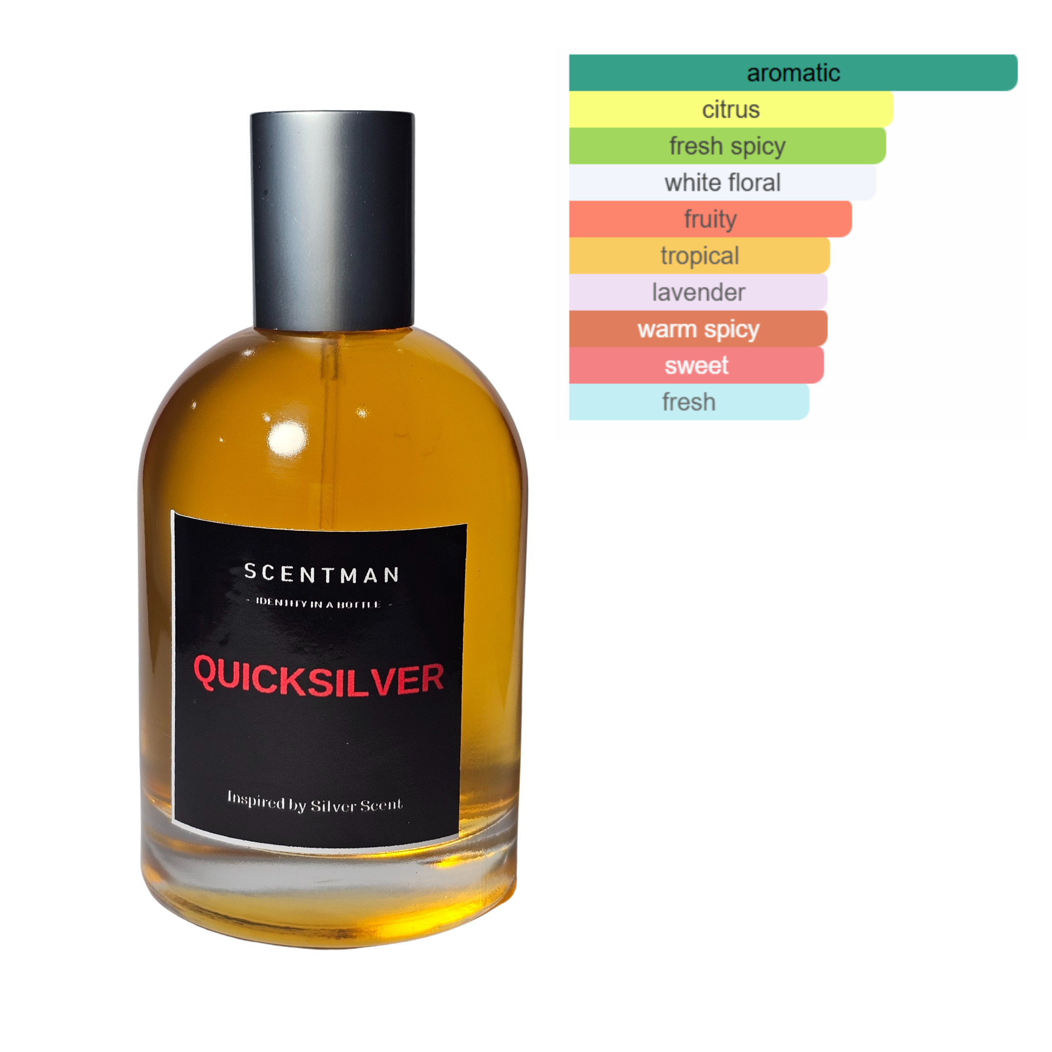 Quick Silver inspired by Silver Scent by Jacques Bogart